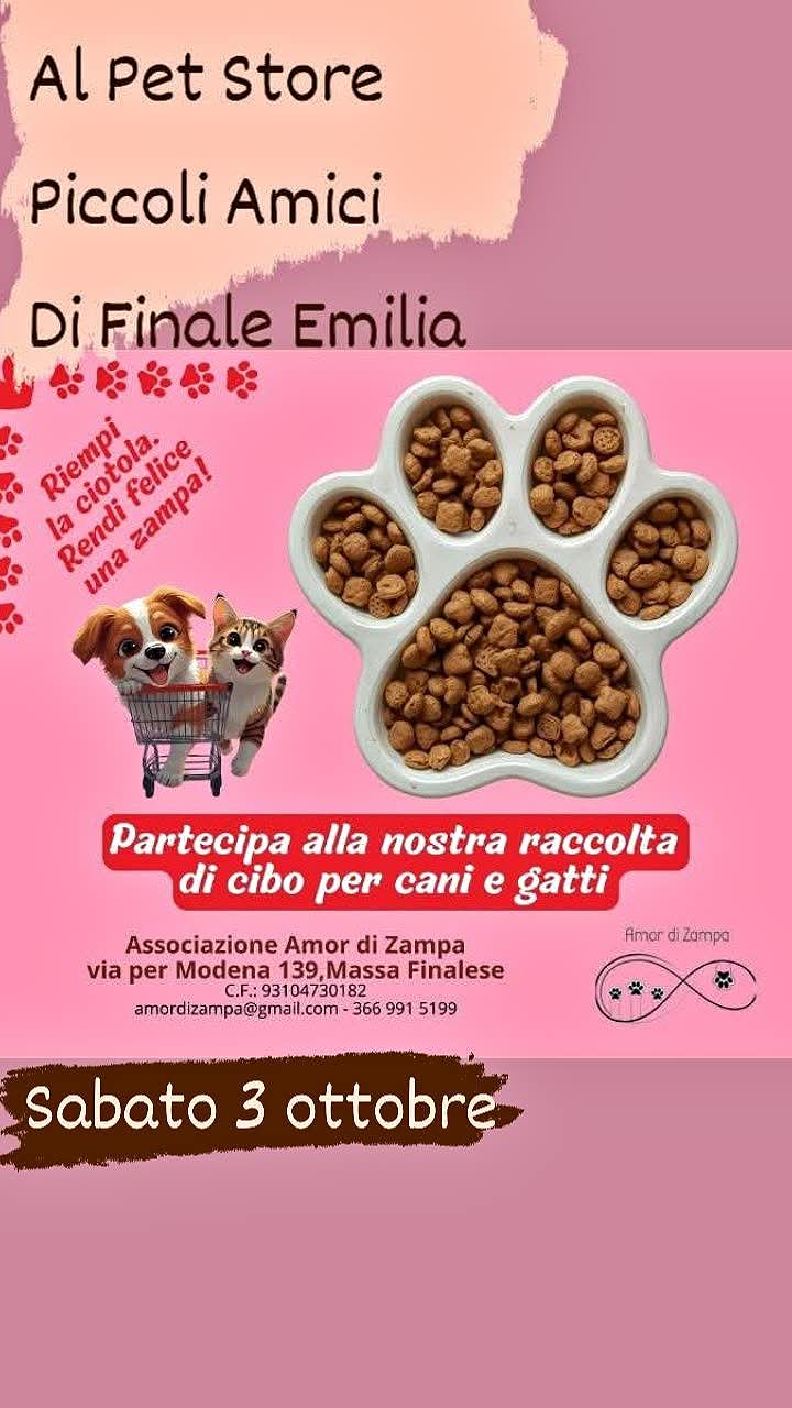 Riempi la ciotola
